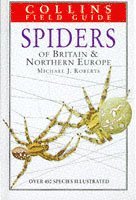 Spiders of Britain and Northern Europe (inbunden)