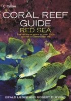 Coral Reef Guide Red Sea (hftad)