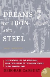 Dreams of Iron and Steel: Seven Wonders of the Modern Age, from the Building of the London Sewers to the Panama Canal (hftad)