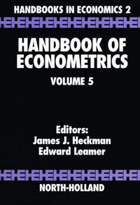 Handbook of Econometrics (e-bok)