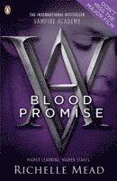 Vampire Academy: Blood Promise (book 4) (hftad)