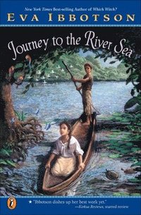 Journey to the River Sea (hftad)