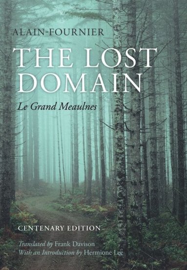Lost Domain (e-bok)