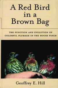 A Red Bird in a Brown Bag (inbunden)