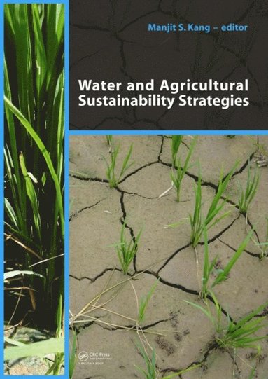 Water and Agricultural Sustainability Strategies (e-bok)