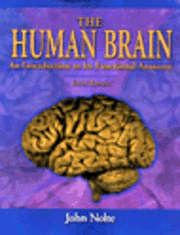 The Human Brain (hftad)