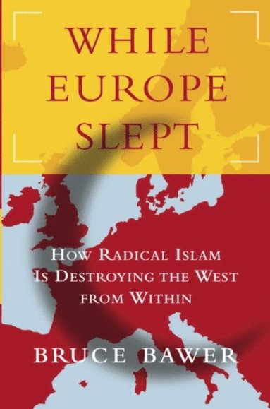 While Europe Slept (e-bok)