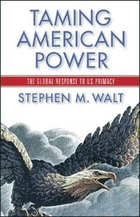 Taming American Power