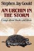 An Urchin in the Storm