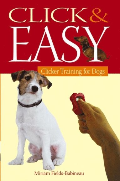 Click & Easy (e-bok)