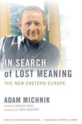 In Search of Lost Meaning (inbunden)