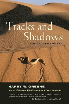 Tracks and Shadows (hftad)