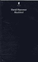 Blackbird (hftad)