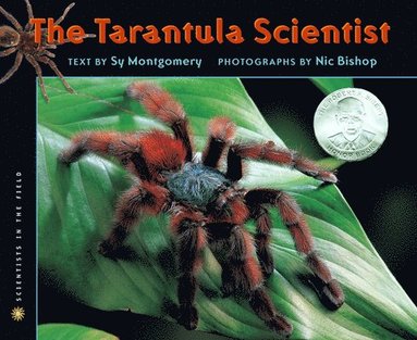 Tarantula Scientist (hftad)