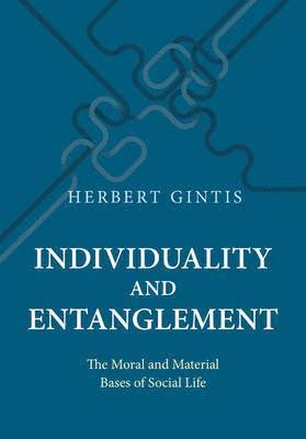 Individuality and Entanglement (inbunden)