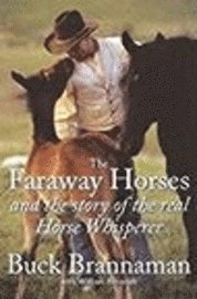 Faraway Horses And The Story Of The Real Horse Whisperer