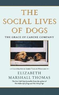  elizabeth marshall thomas The Social Lives of Dogs