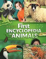 Kingfisher First Encyclopedia of Animals (hftad)