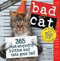 Bad Cat Page-A-Day Calendar 2017