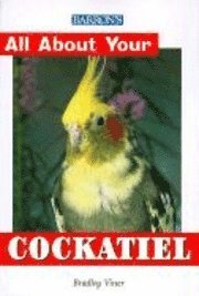  b bradley viner All about Your Cockatiel