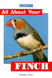  b bradley viner All about Your Finch