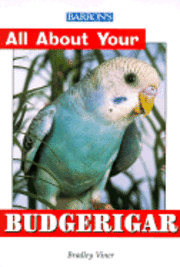  b bradley viner All about Your Budgerigar