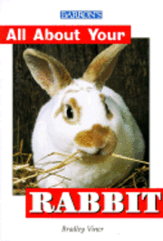  b bradley viner All about Your Rabbit
