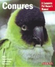  matthew m vriends Conures