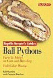  bartlett Ball Python
