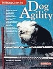  margaret bonham Introduction To Dog Agility