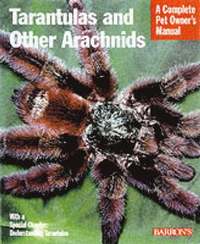  marshal Tarantulas And Other Arachnids