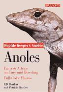  bartlett Anoles