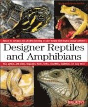  bartlett Designer Reptiles and Amphibians