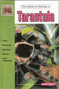  jerry g walls Guide To Owning A Tarantula