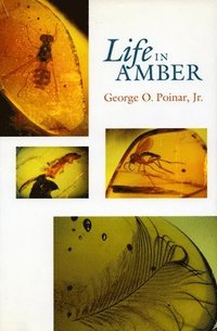 Life in Amber (inbunden)