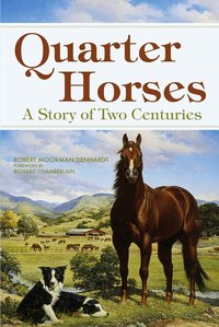  robert m denhardt Quarter Horses