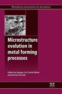 Microstructure Evolution in Metal Forming Processes (inbunden)