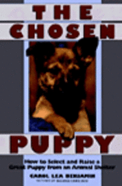  carol l benjamin Chosen Puppy