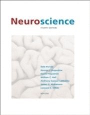 djur Neuroscience