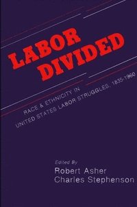  robert  asher Labor Divided
