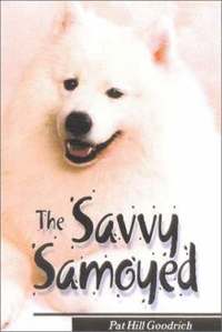  hill Savvy Samoyed