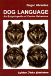  roger abrantes Dog Language