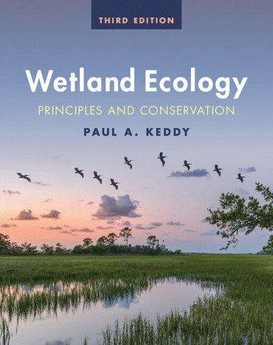 Wetland Ecology (inbunden)