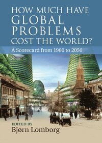 How Much Have Global Problems Cost the World? (inbunden)