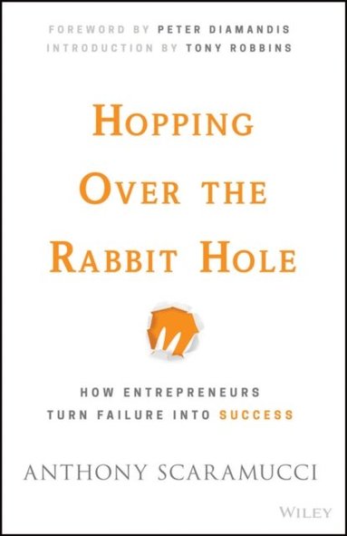 Hopping over the Rabbit Hole (e-bok)