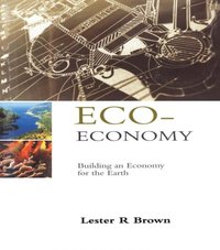 Eco-Economy (e-bok)
