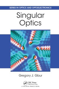 Singular Optics (e-bok)