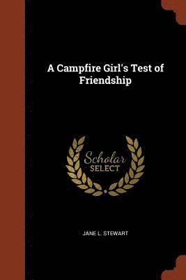 A Campfire Girl's Test of Friendship (hftad)