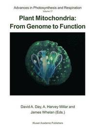 Plant Mitochondria: From Genome to Function (inbunden)