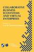 Collaborative Business Ecosystems and Virtual Enterprises